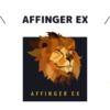 AFFINGER EX