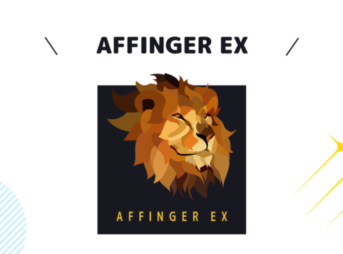 AFFINGER EX